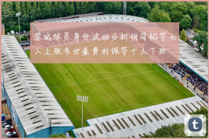 蓉城球员身价波动分析胡荷韬等七人上涨韦世豪费利佩等十人下跌